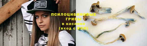 гашик Козловка