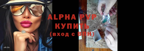 гашик Козловка