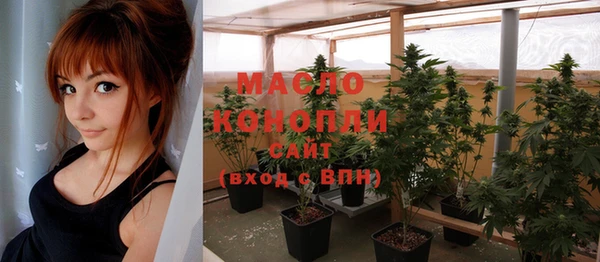 гашик Козловка